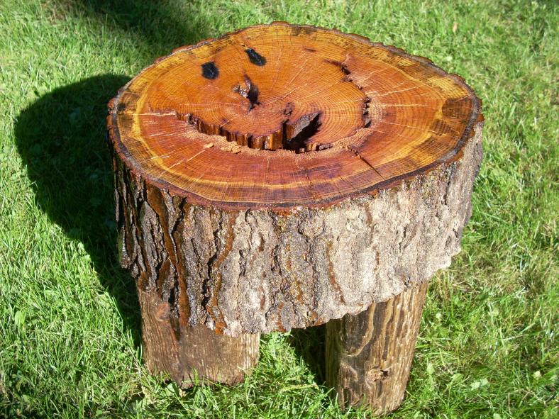 Tables » THE TREE SPIRIT - No Trees Are Harmed In The Making Of These ...